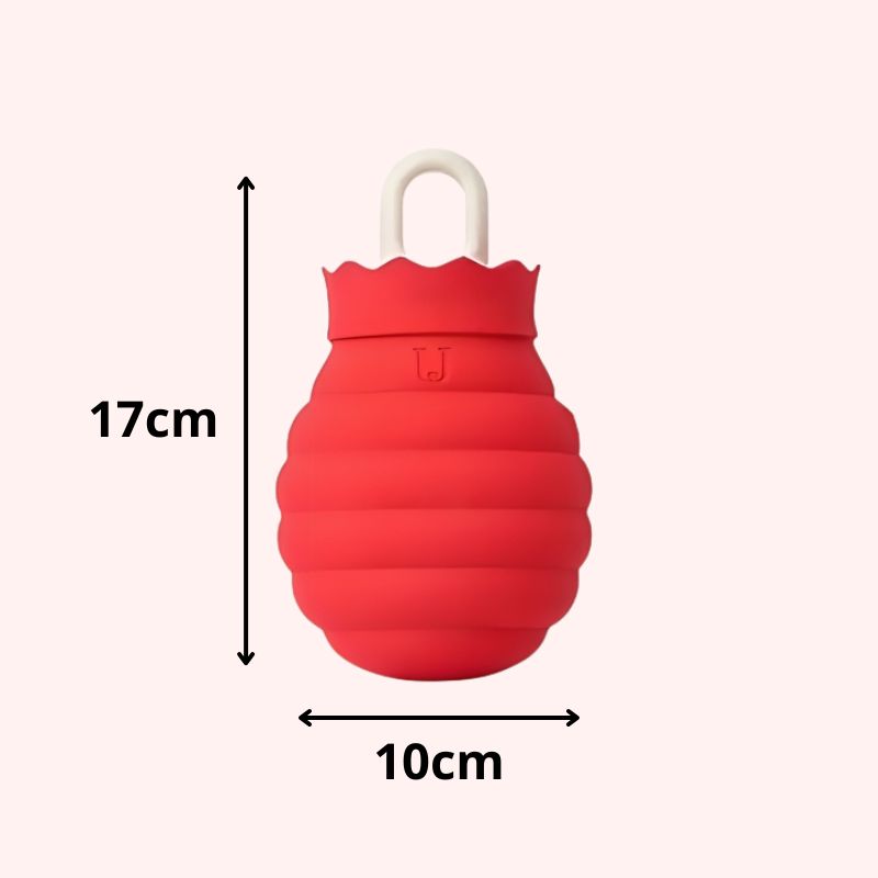Mini Bouillotte de Poche Micro-ondable