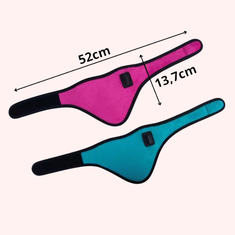 Bouillotte Électrique