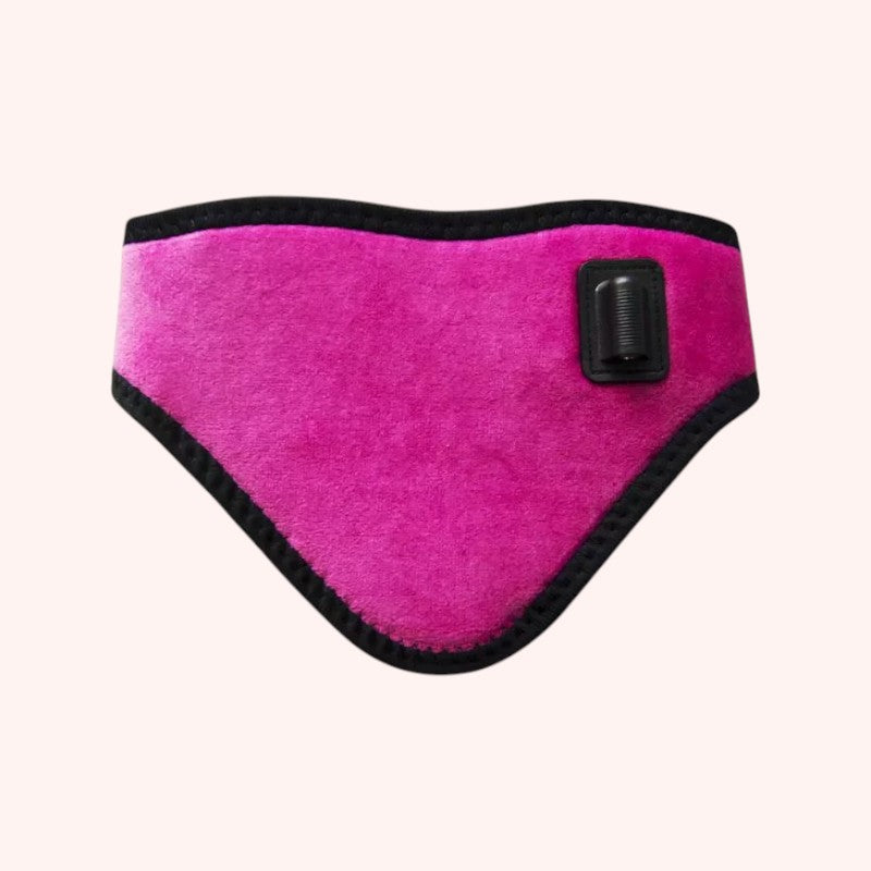 Bouillotte Électrique